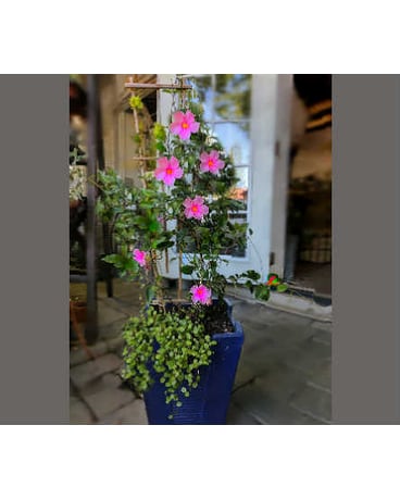 Customized Garden Planter~1